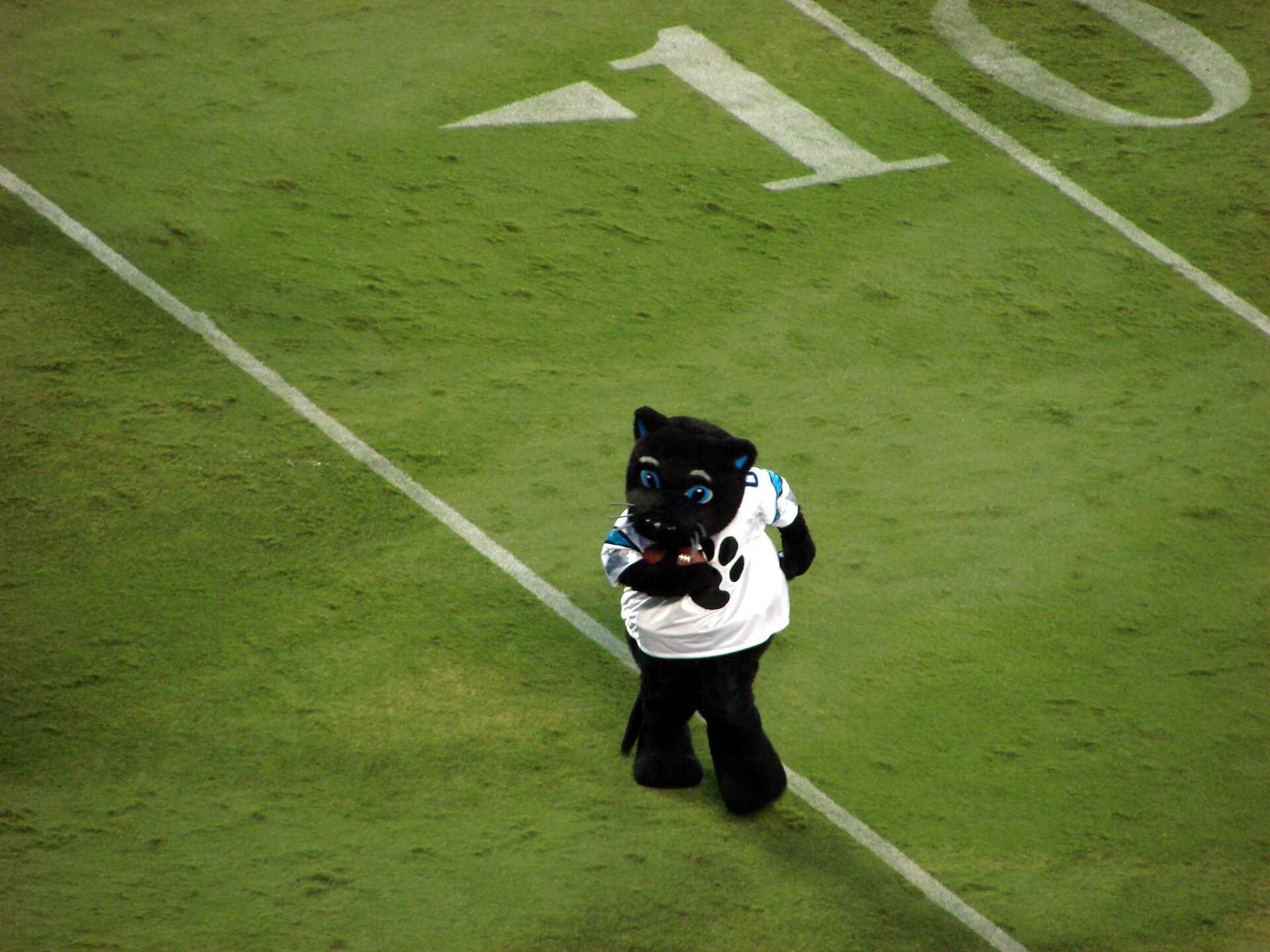 Panthers Aren't Real