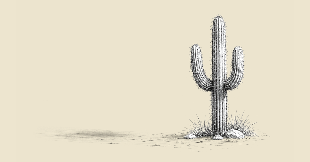 No Man's Land: Why Cheap Stocks Can Still Be Hard Trades