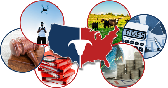 CATTLEUSA DRIVE - Tuesday, November 11th