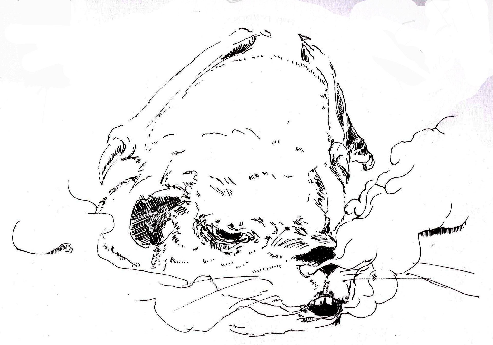 Happy Groundhog Day!