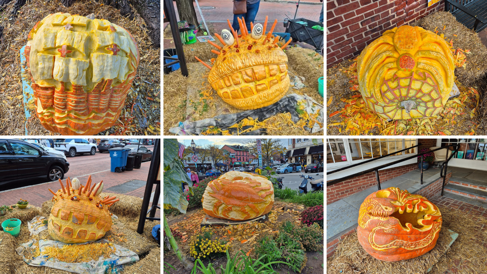 🍦The artists behind the Annapolis Great Pumpkins
