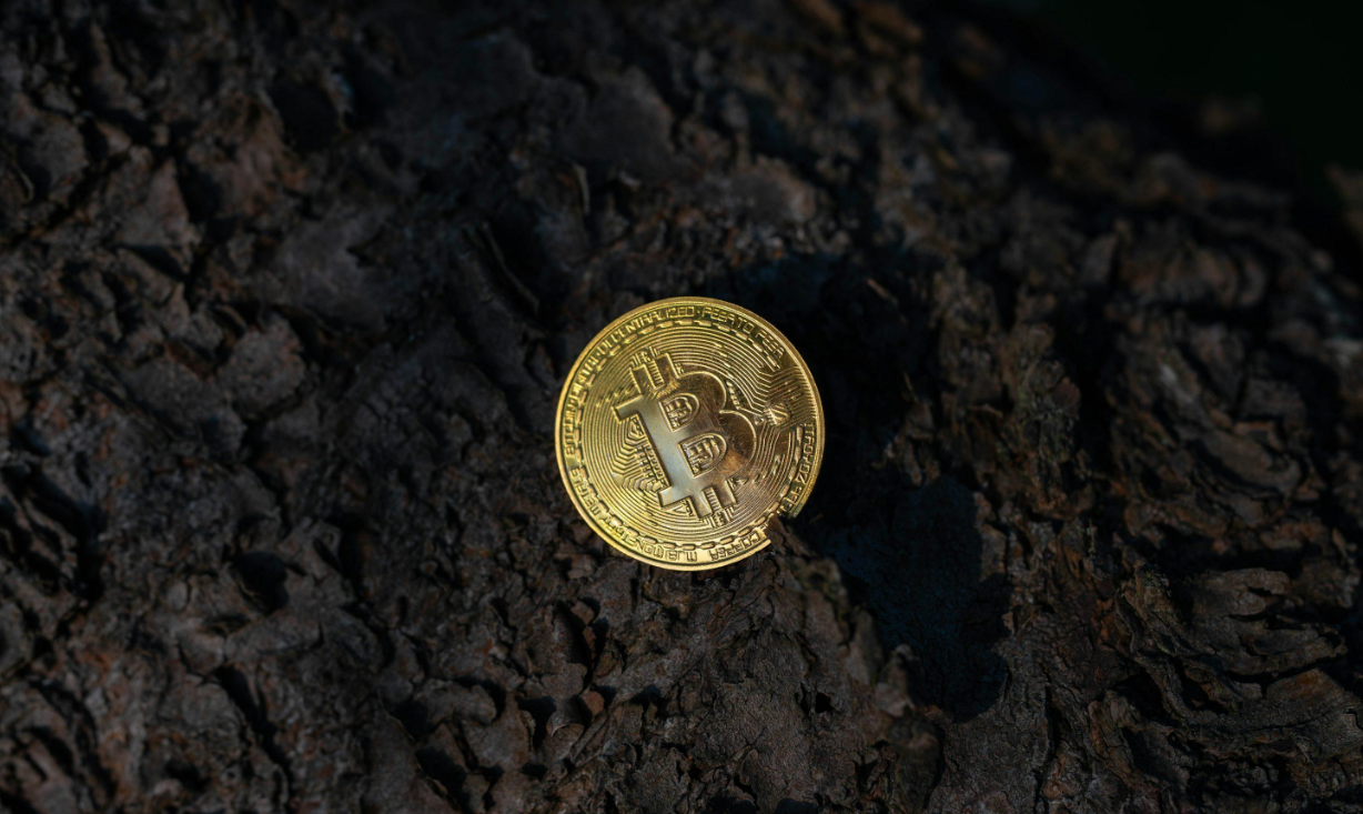 Bitcoin ETFs Pull In $2.4B in April, Best Month Since October