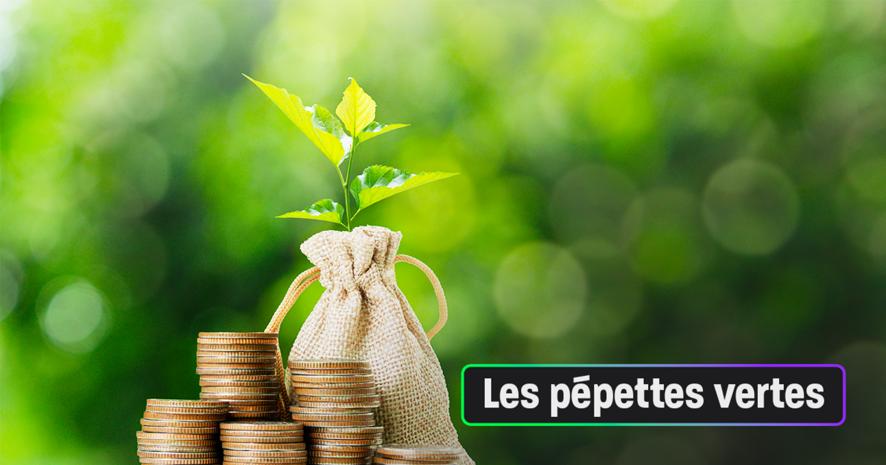 Le crowdfunding vert, ça peut être rentable !