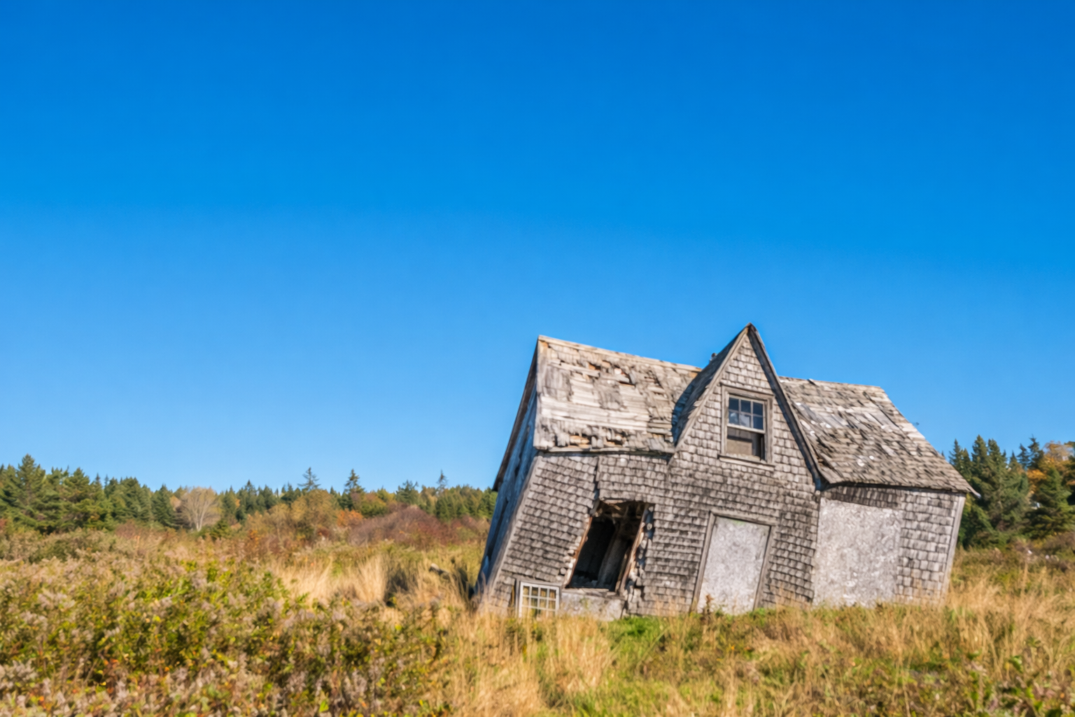 ☕️one step backwards