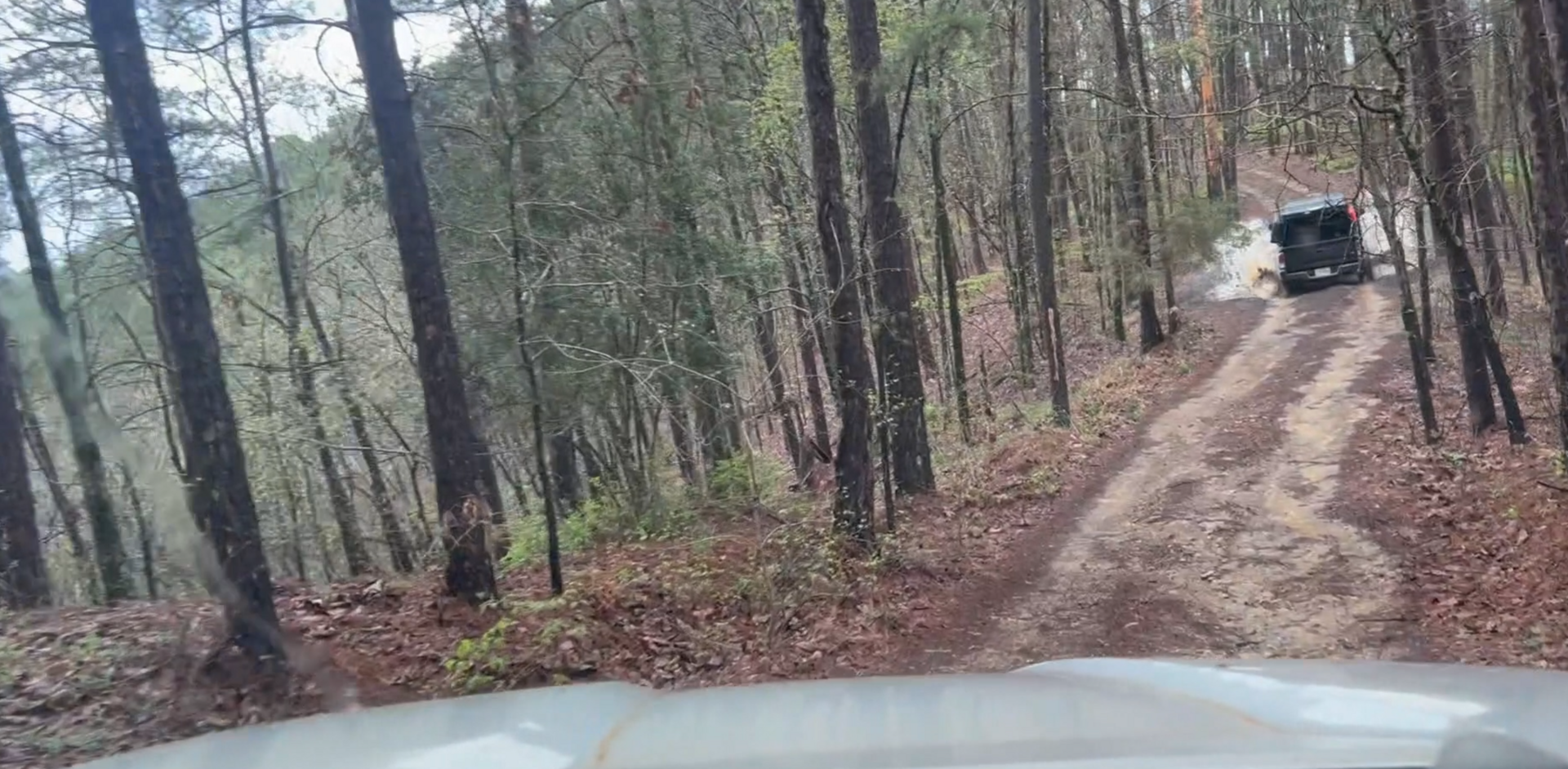 Top 3 Ouachita Overlanding discoveries 