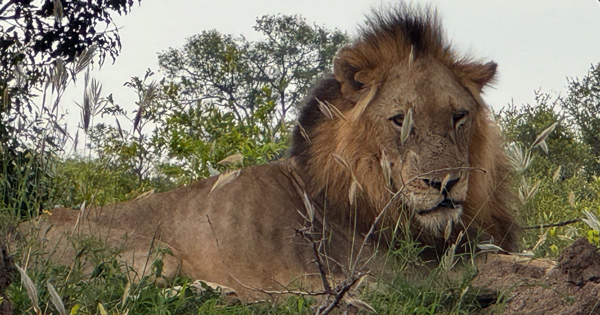 5 Mar 2026 (Open Practice)