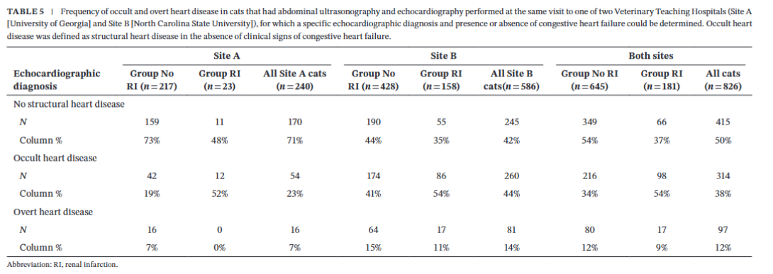When should you recommend echocardiogram in cats?