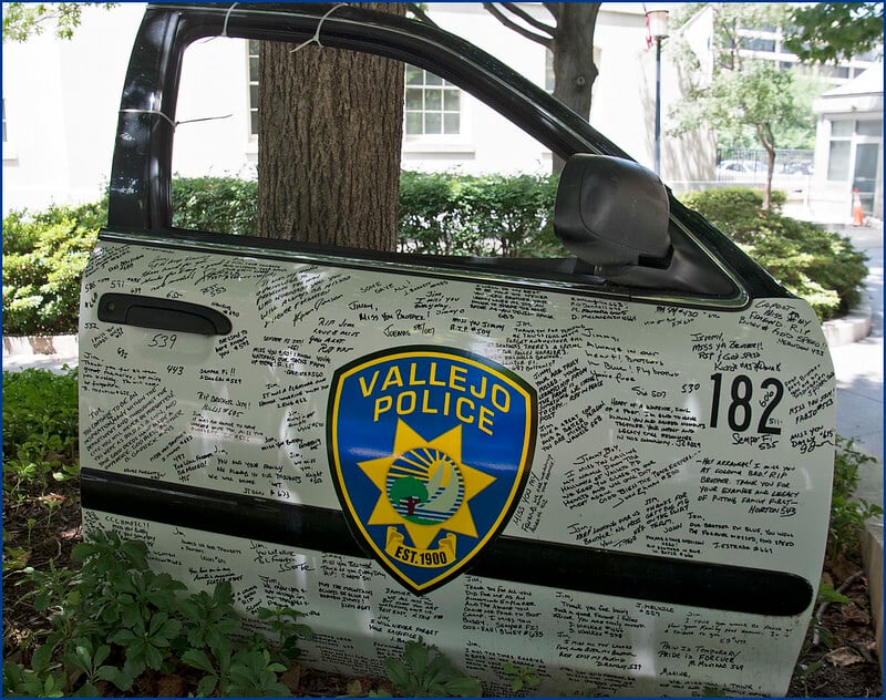 Ten-Foot Python Retrieved At Bay Area Sideshow