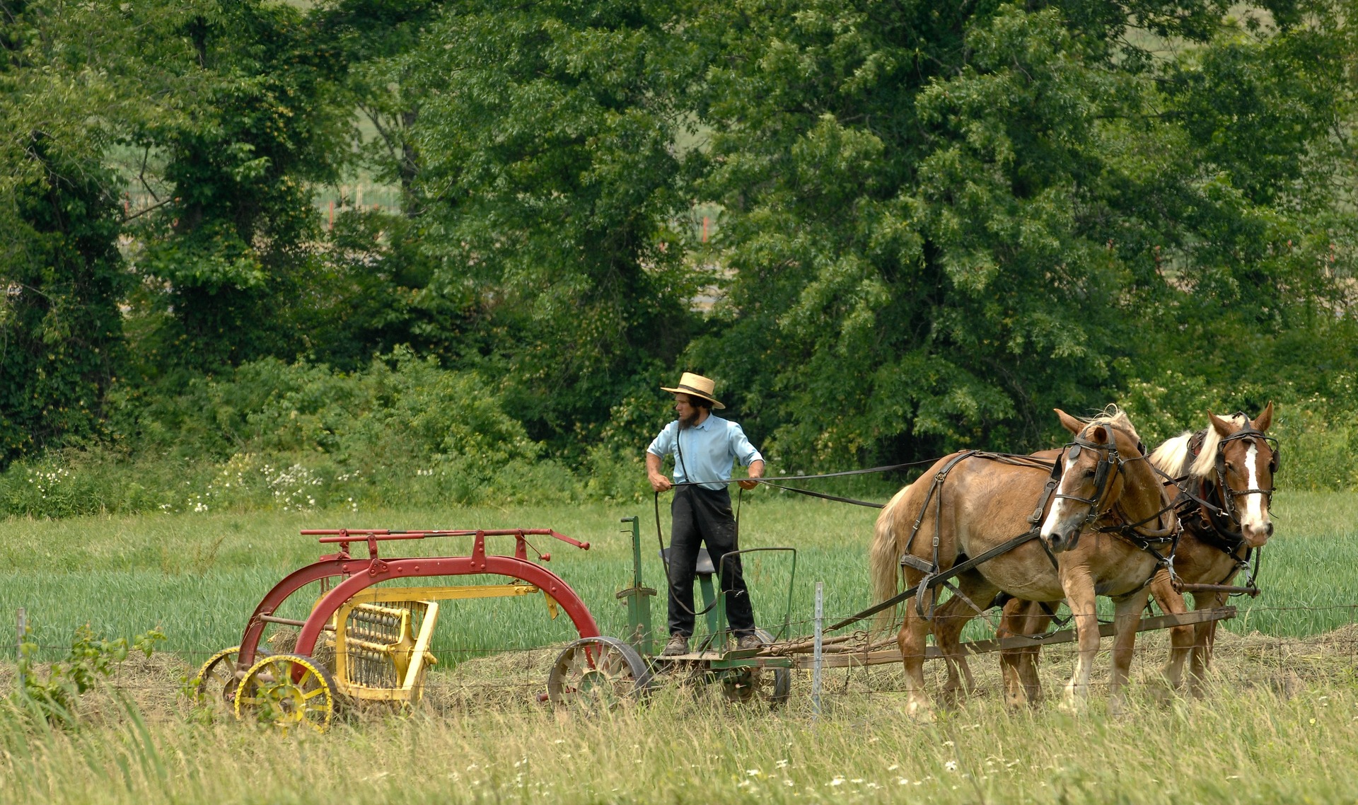 Supreme Court Reverses Course on Amish Vaccine Exemption Fight in New York