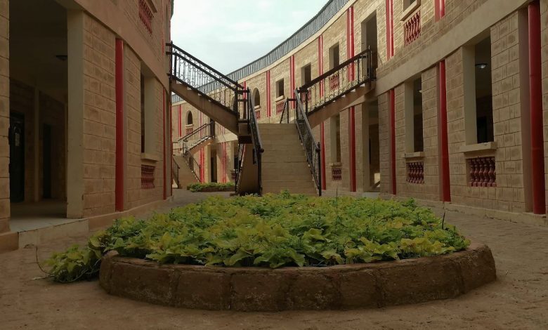 برقية أب كريق🐊29: مصانع معاوية البرير 