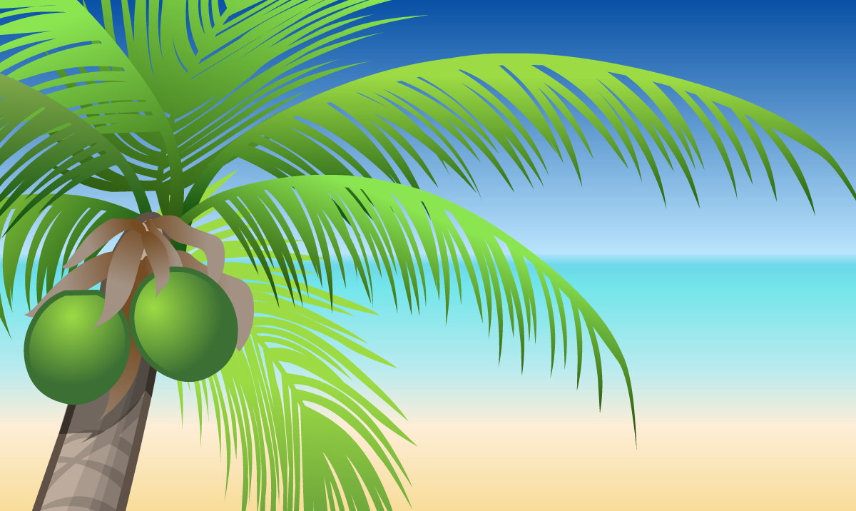 It's time for Tropical Break!