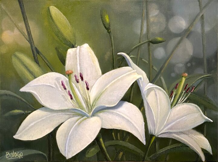 Olhai para os lírios do campo (Devocional em Mateus 6:28-29)