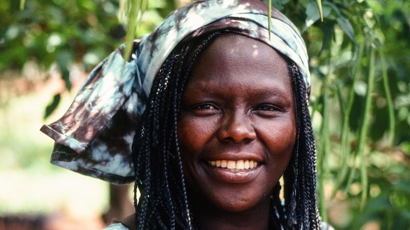 🛀 Cleaner showers, 50M trees, 2-min toast
