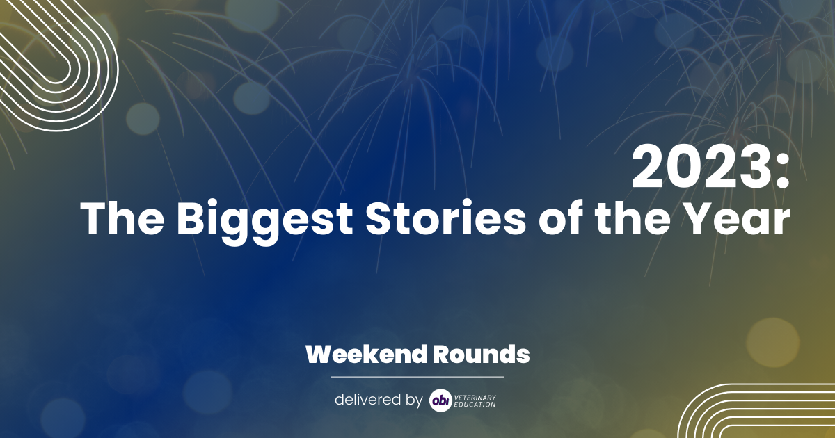 2023: The Biggest Stories of the Year