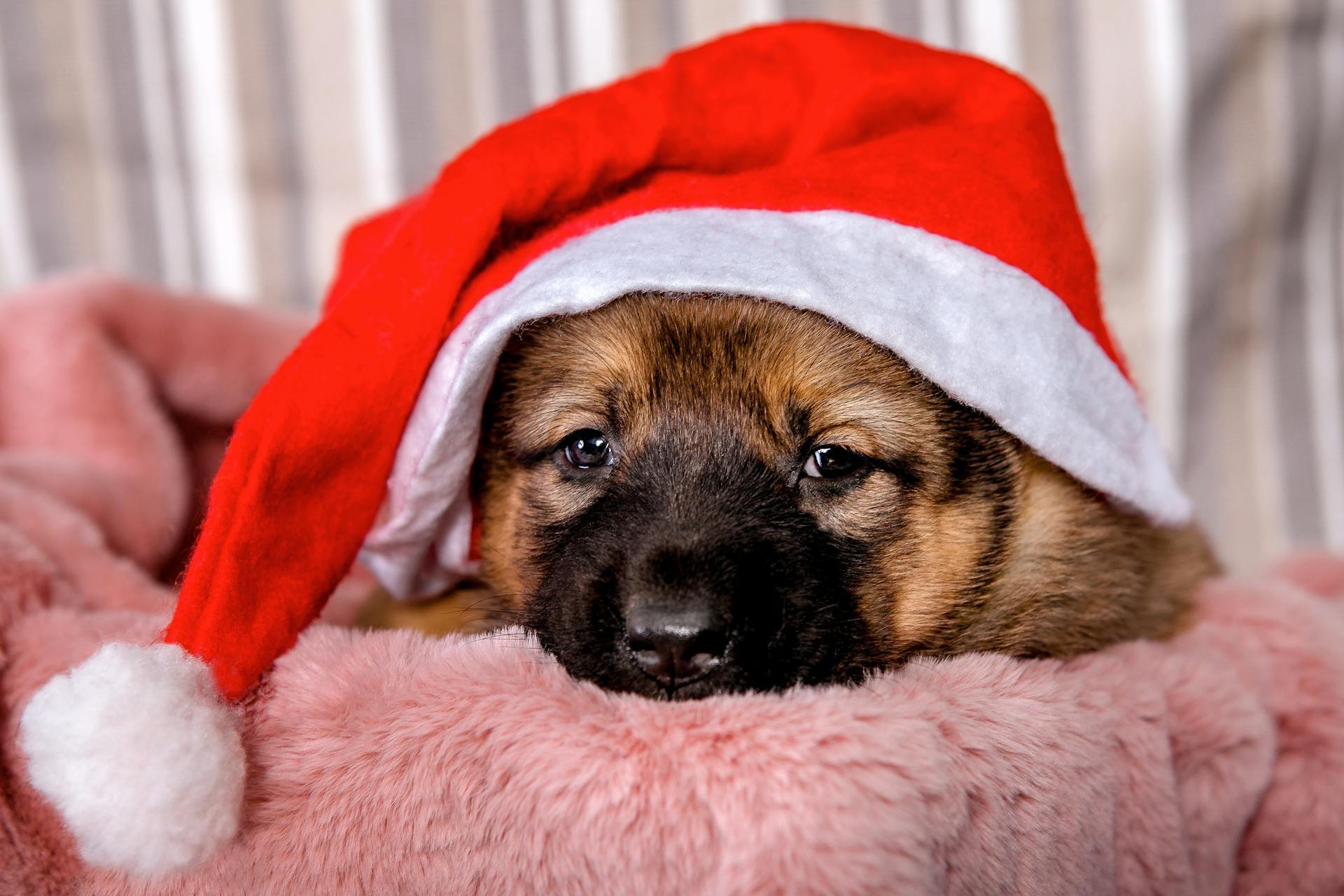 Walkin’ In a Stressful Wonderland