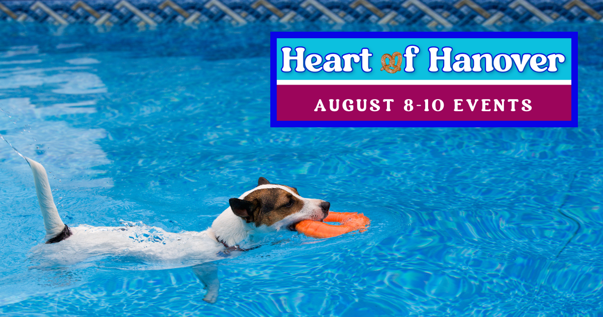 Hanover’s Top 5 Weekend Events (August 8–10)