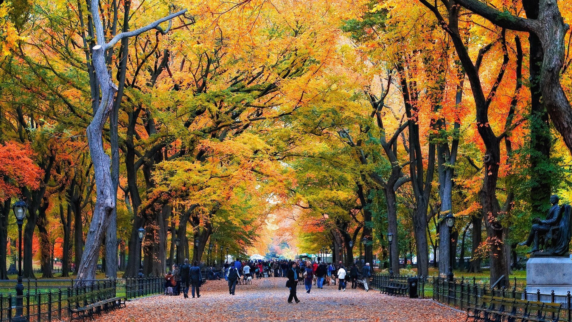 Supplements: Overhyped or Essential?