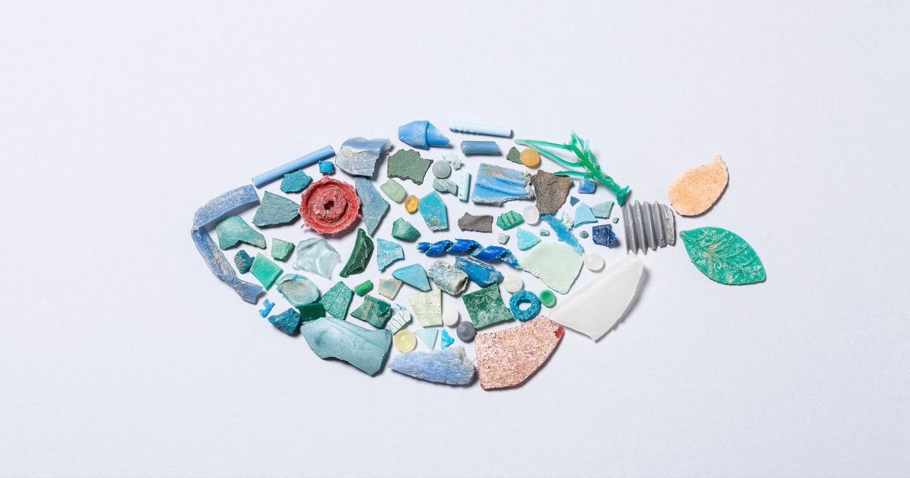 Living in a Plastic World