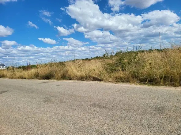 Featured Deal: Arlington Industrial Stand—Issue #02