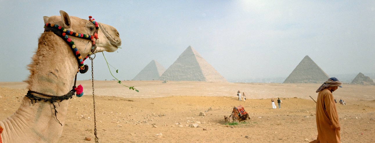 Why This is My Dream Camera.