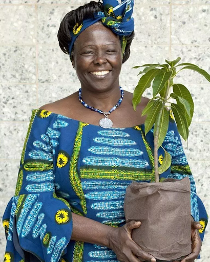 Siembra un árbol y descolonízate: la ética global de Wangari Muta Mathaai