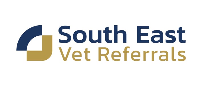 Powerful Pet Eye Microscope Arrives In Sevenoaks as Specialist Service Launches