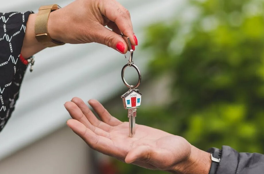 📉 Prices chill, buyers thrill