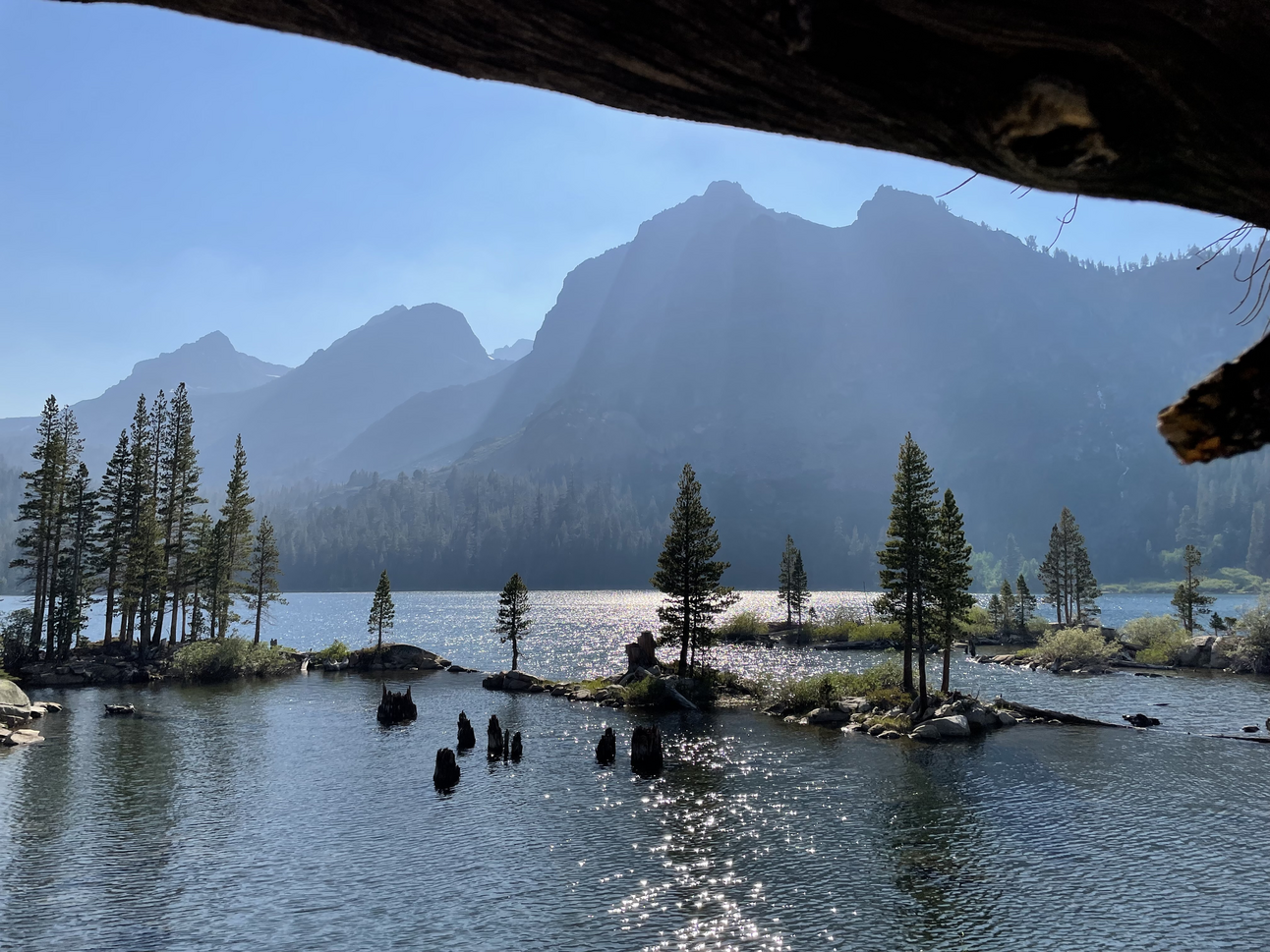 2 Rules In Confronting The 2022 Stock Market Bear