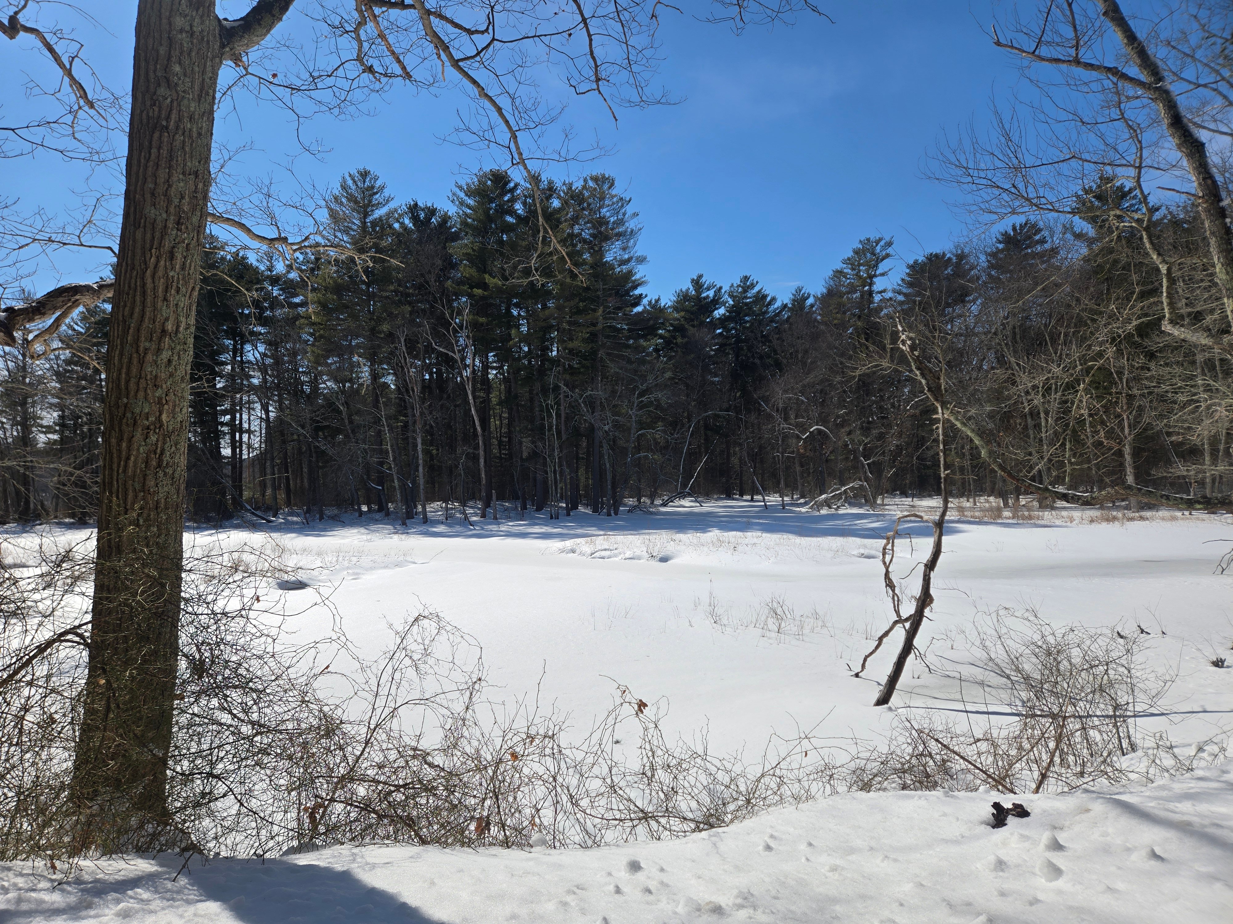 #AcademicRunPlaylist - 2/27/26