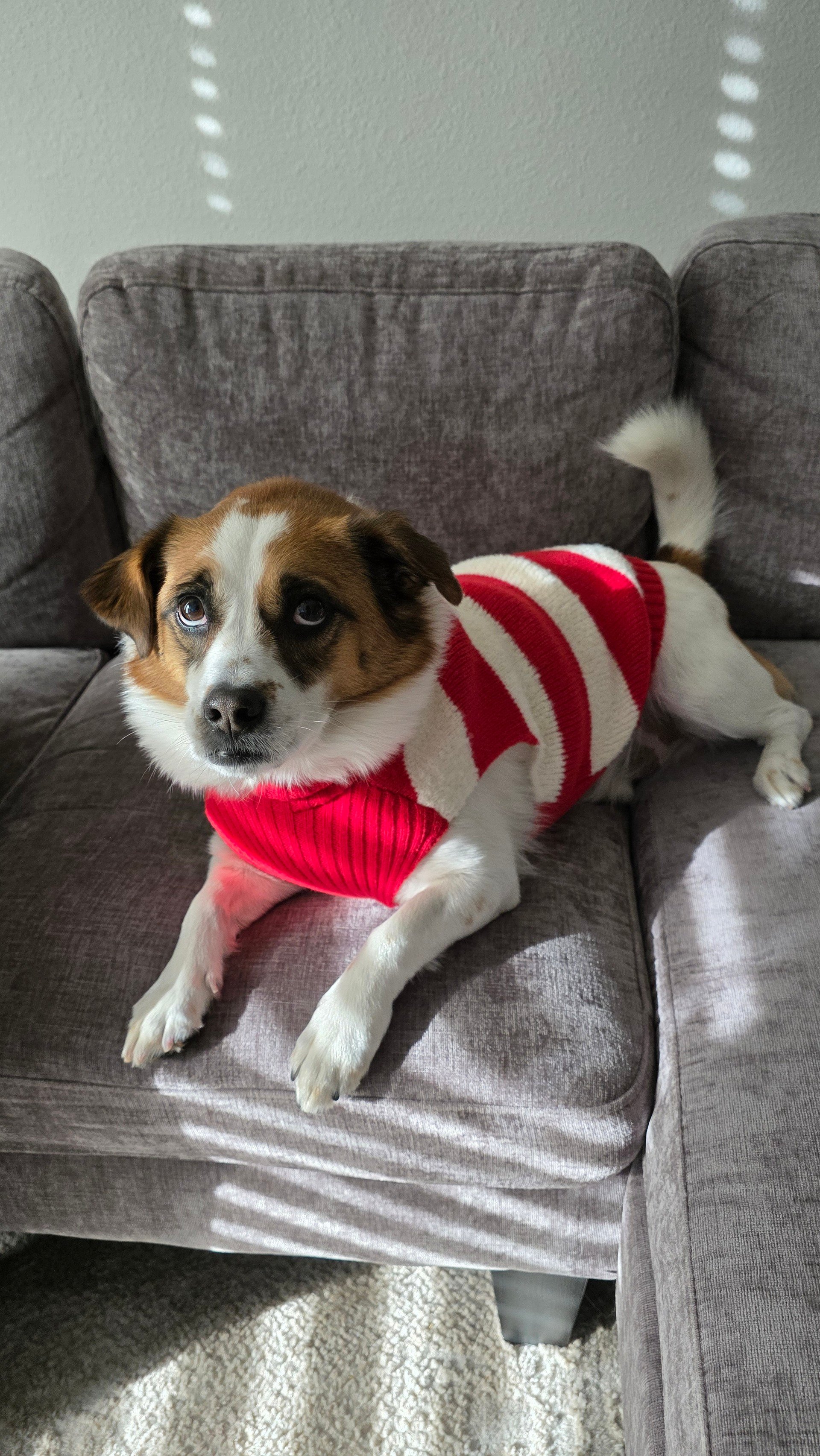 Your Weekend Vibes — Jan 9–11, 2026