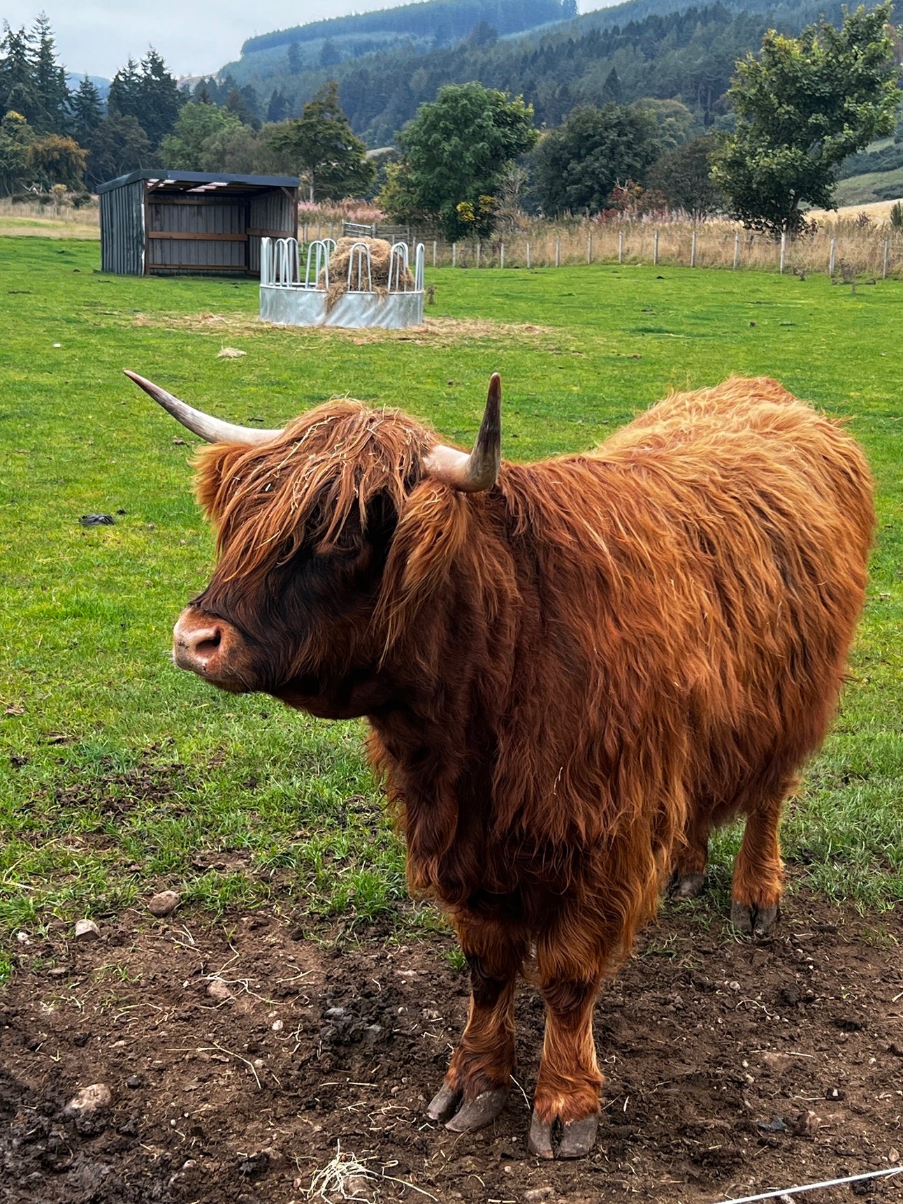 The Pros & Cons of The Digital Nomad Life