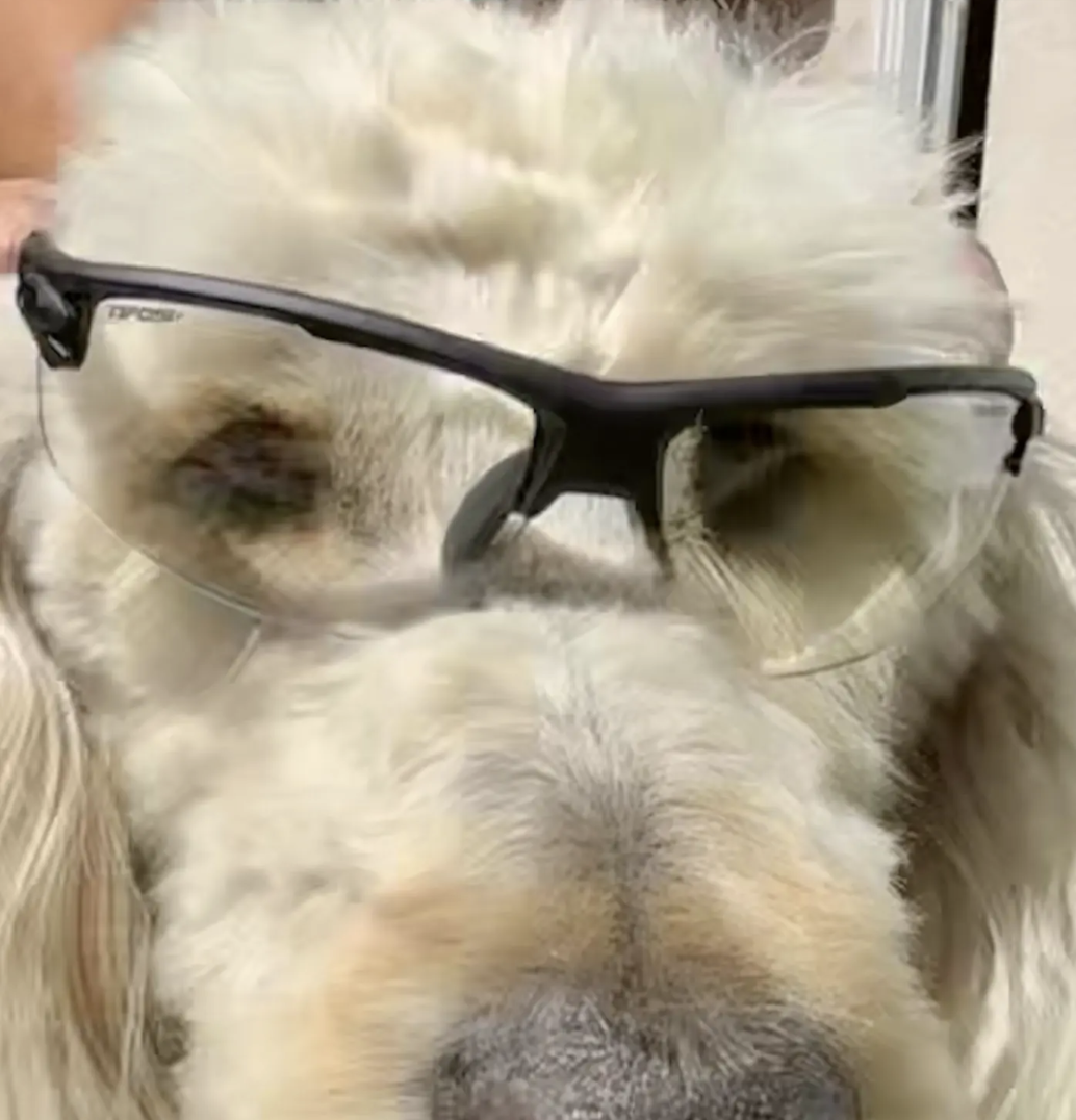 New Gear Review and Pro Tips