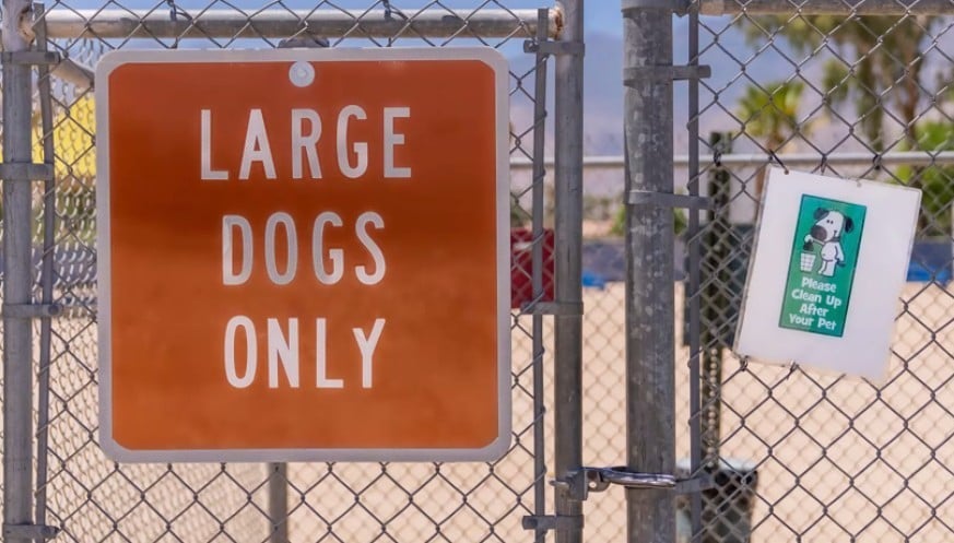 🌮 Daily Briefing: Tuesday, Feb. 24, 2026  