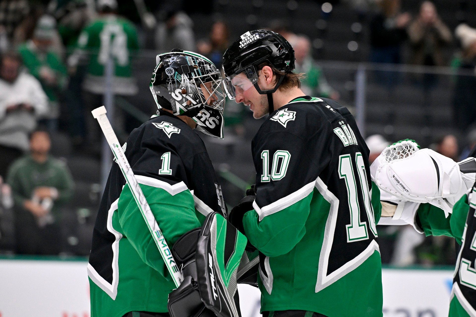 Dallas Stars put on a show