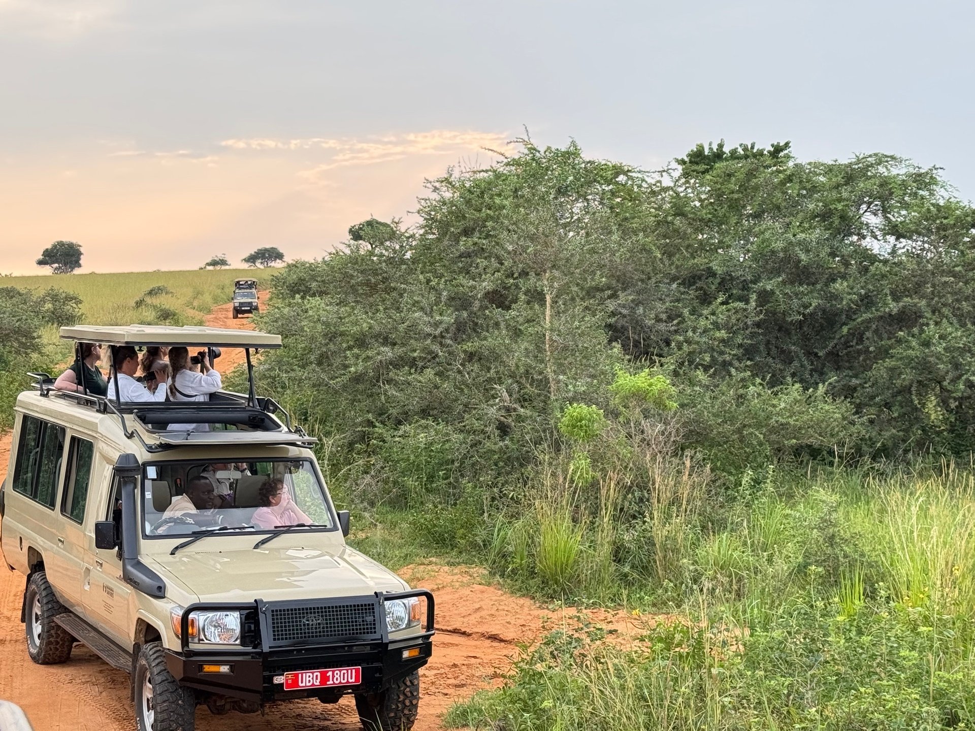 Age Boldly: Safari, So Good!