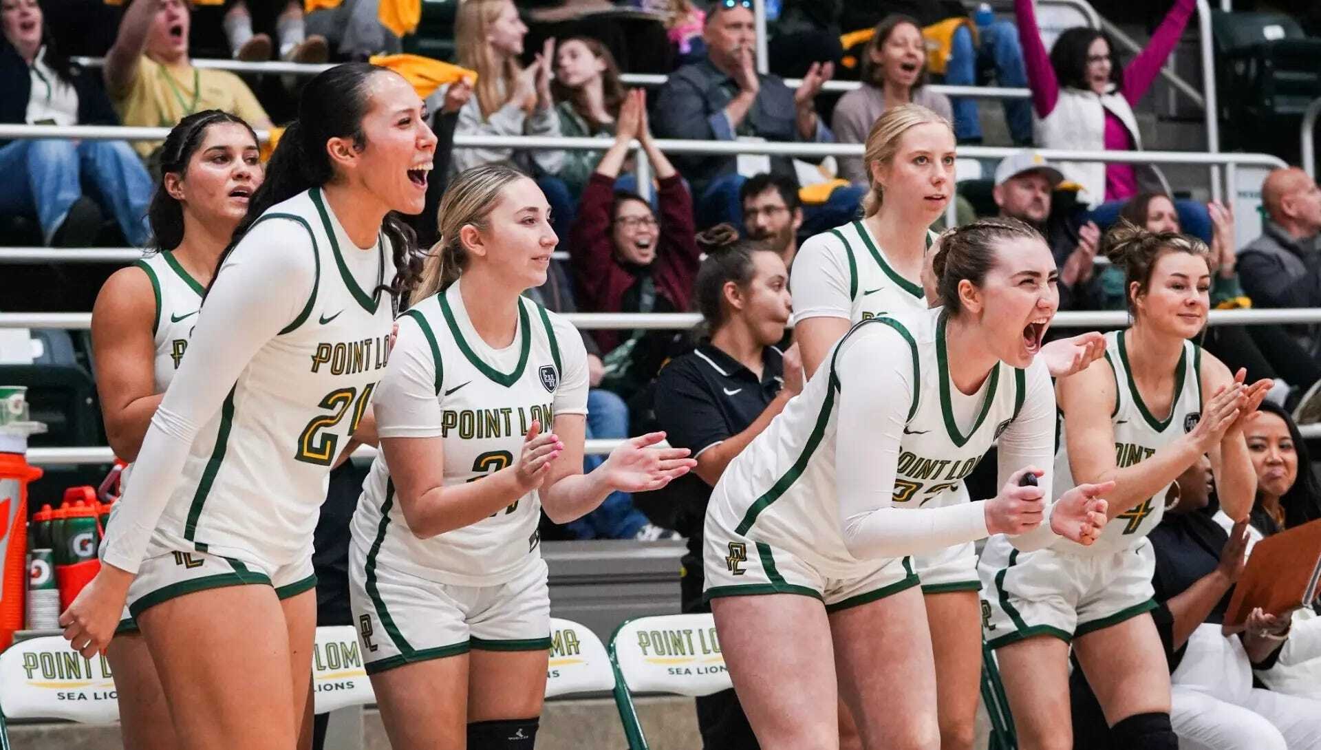 So much happening this weekend! 