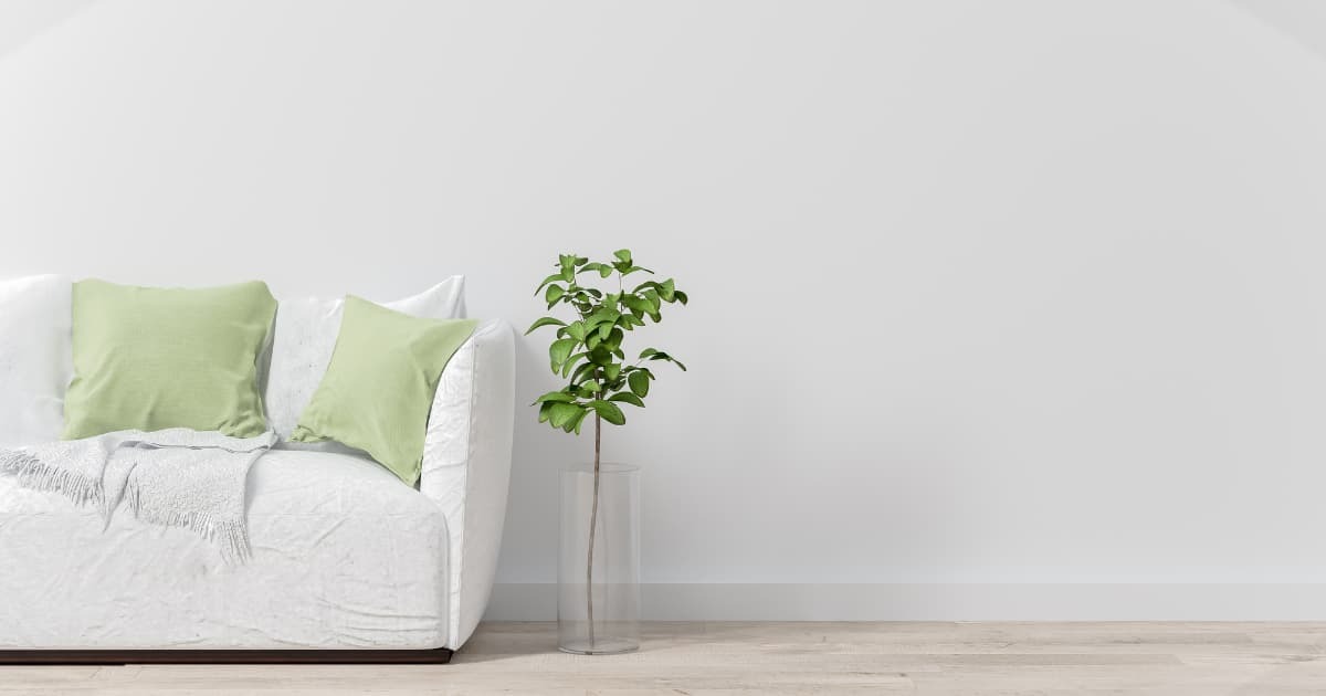 Breaking Free from the Consumerism Trap: The Key to Authentic Happiness