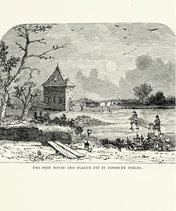 The (In)Visible Hand: Populations, Economies, and State Power