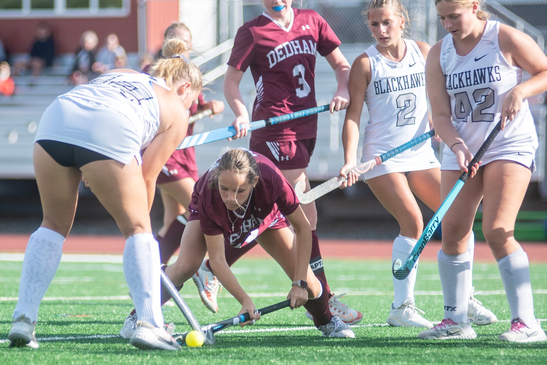 The Large and Small of it