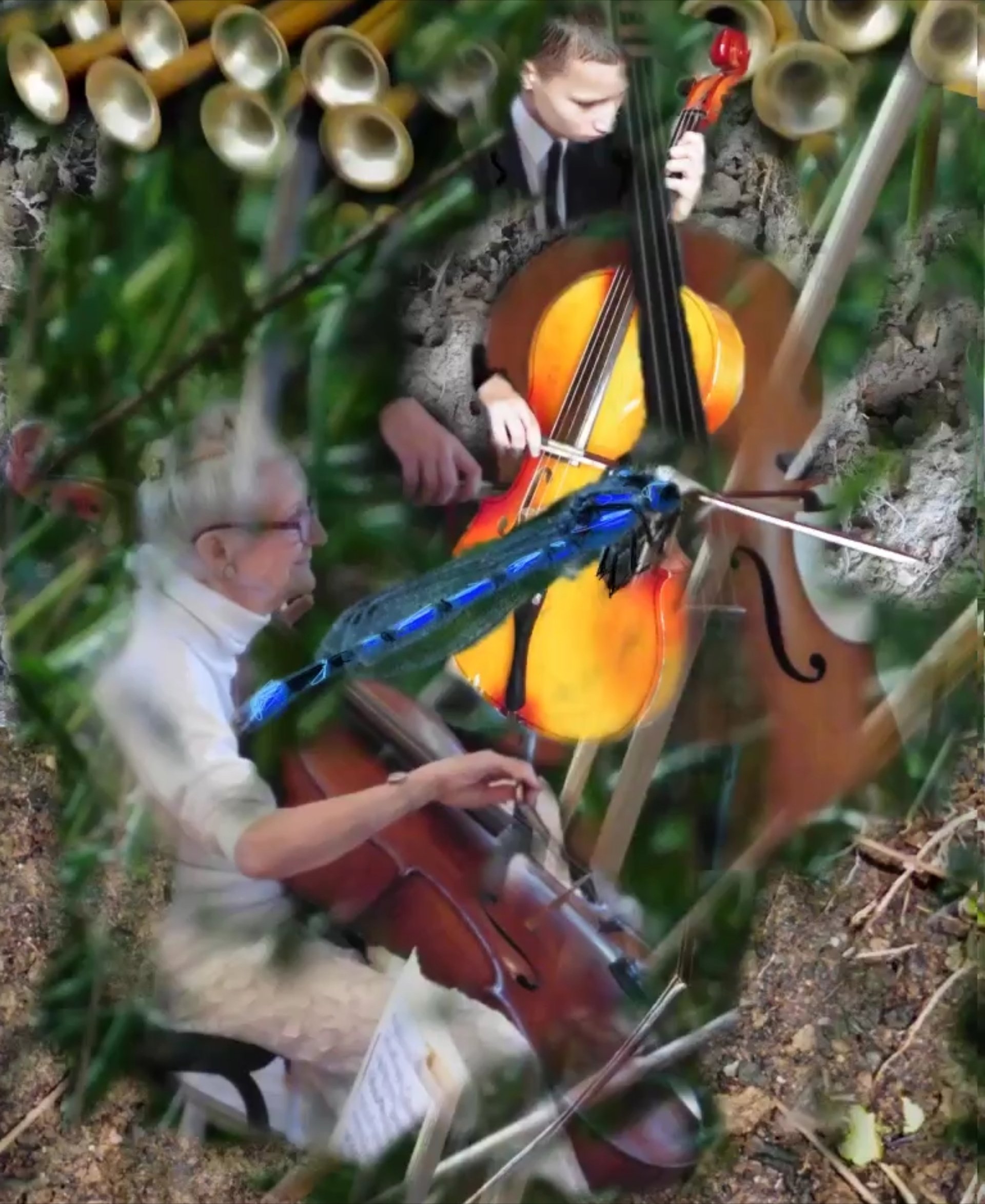 "The fascinating chill that Music leaves"