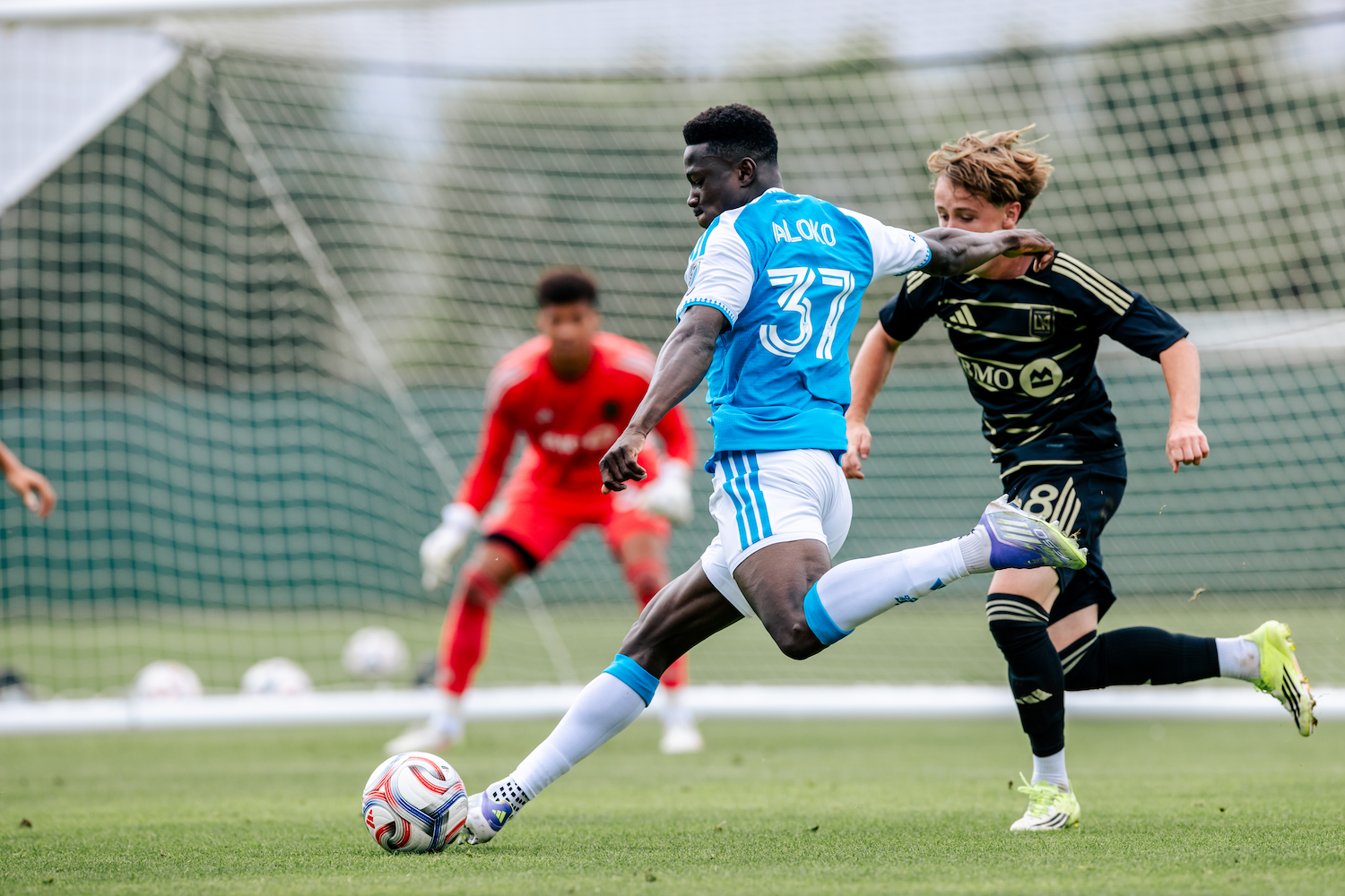 Young talent helps fill Zaha void