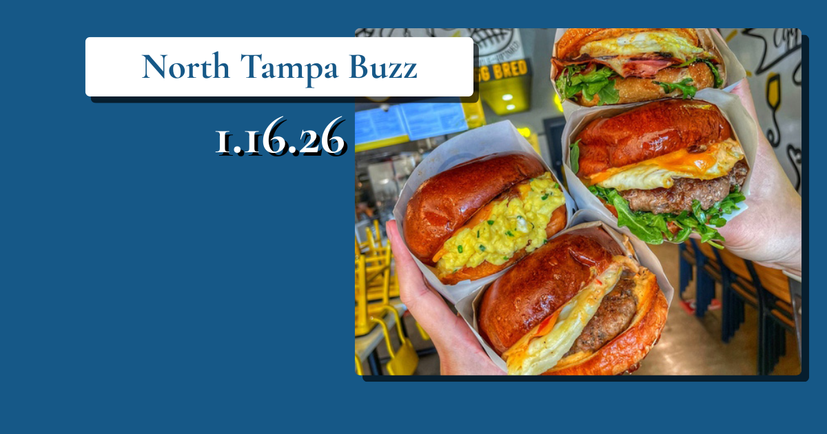 🦎 Falling iguanas, free breakfast, and Rays rumors?