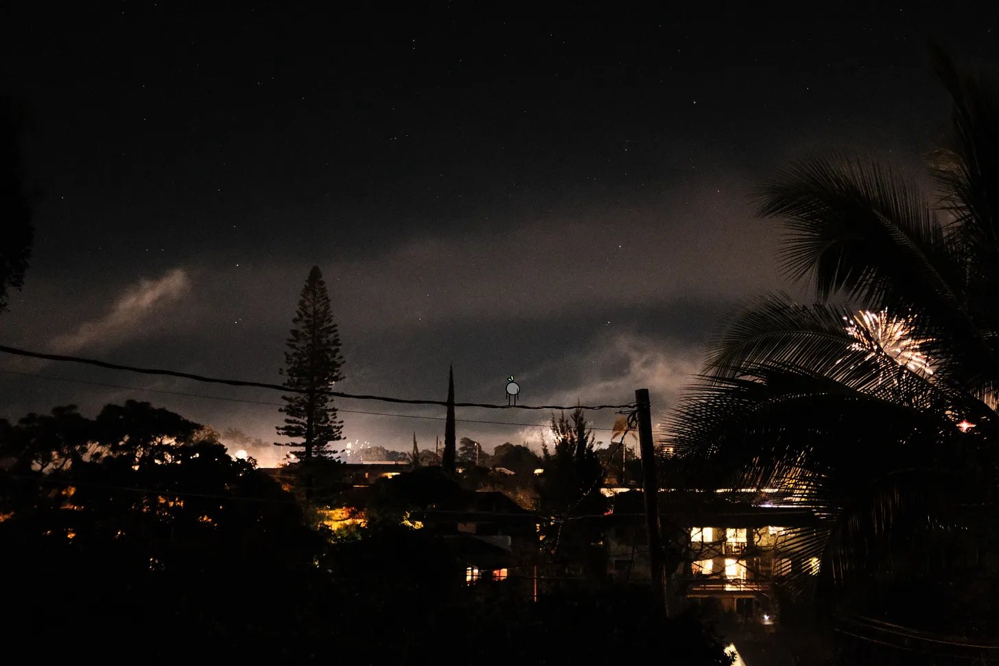 a year of searching for whimsy in the mundane