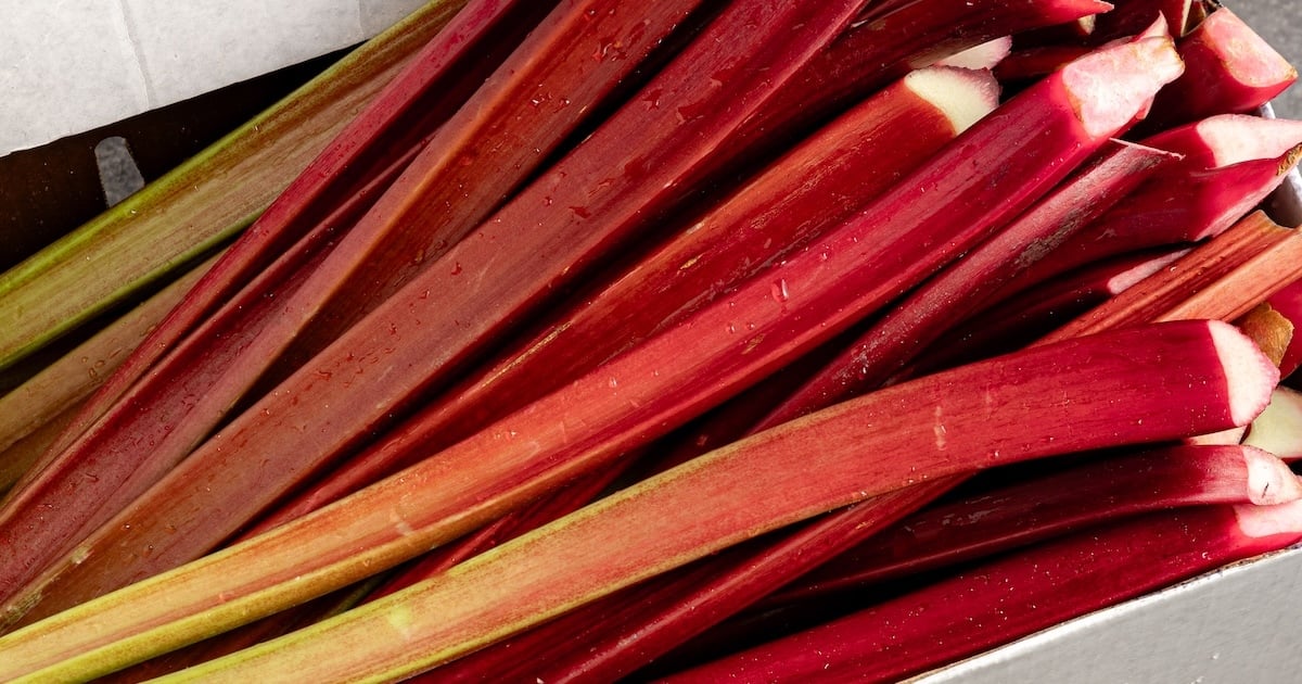 Think outside the pie box with Washington rhubarb