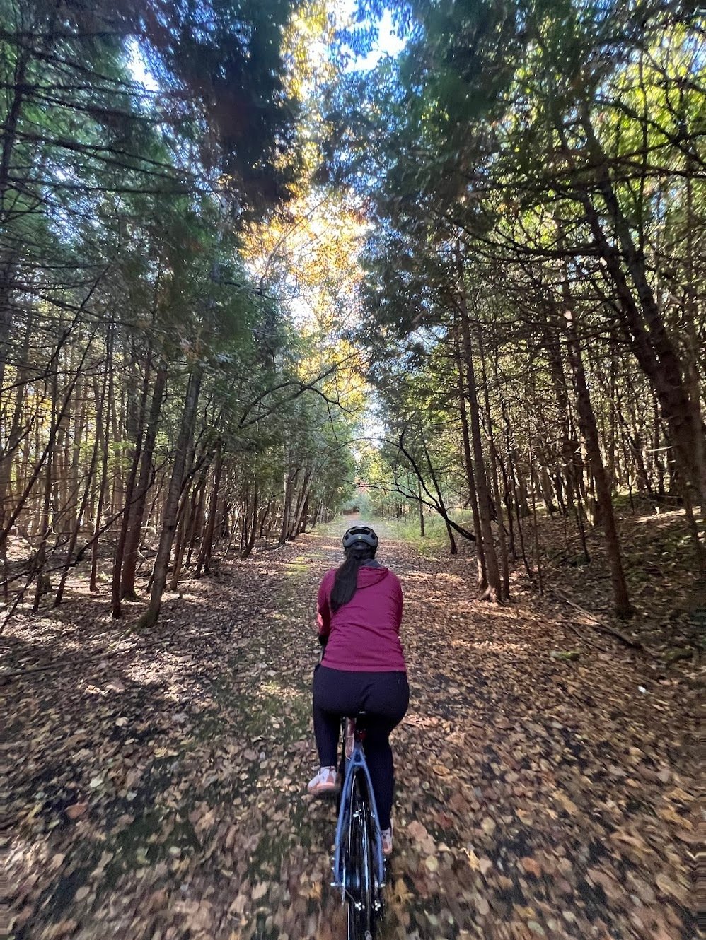 Notes on Carriage Roads Beyond Acadia 