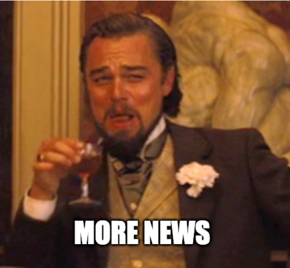 Newsletter #14: New, news and more news