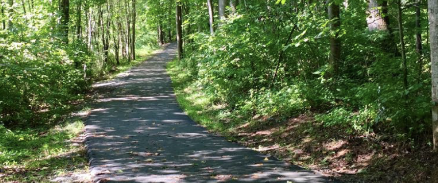 Local Hikes and Holiday Happenings