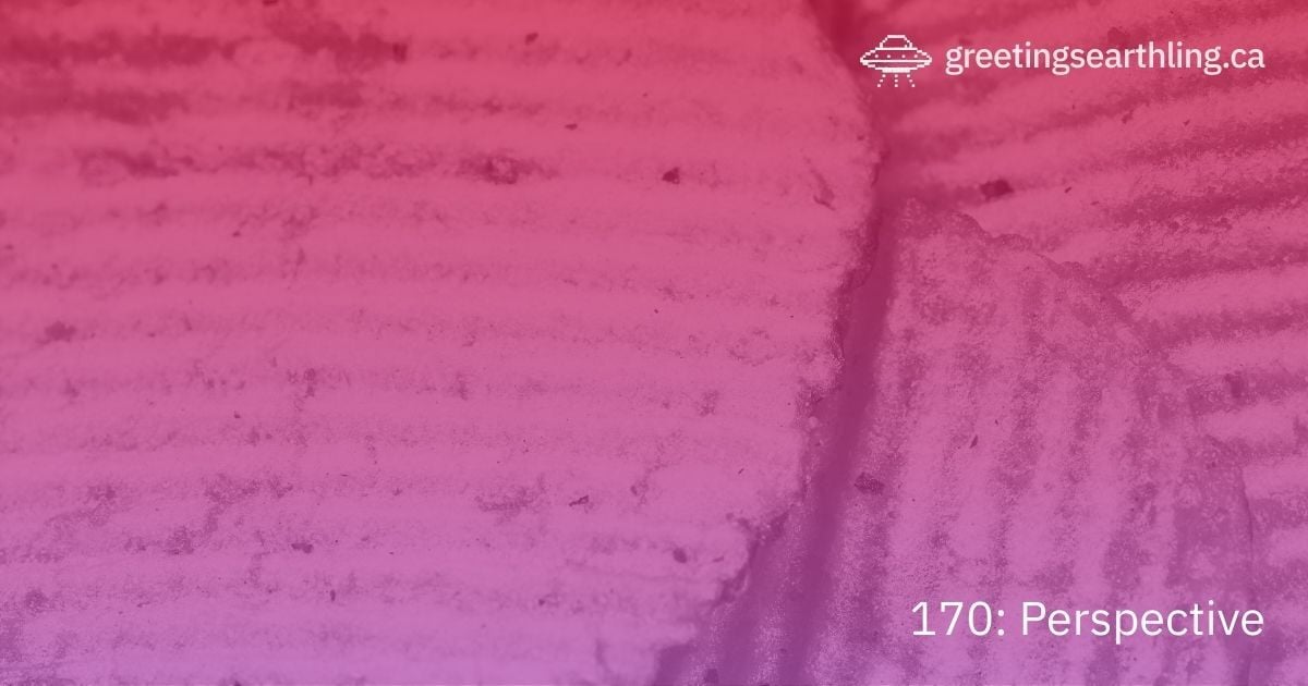 Transmission 170: Perspective