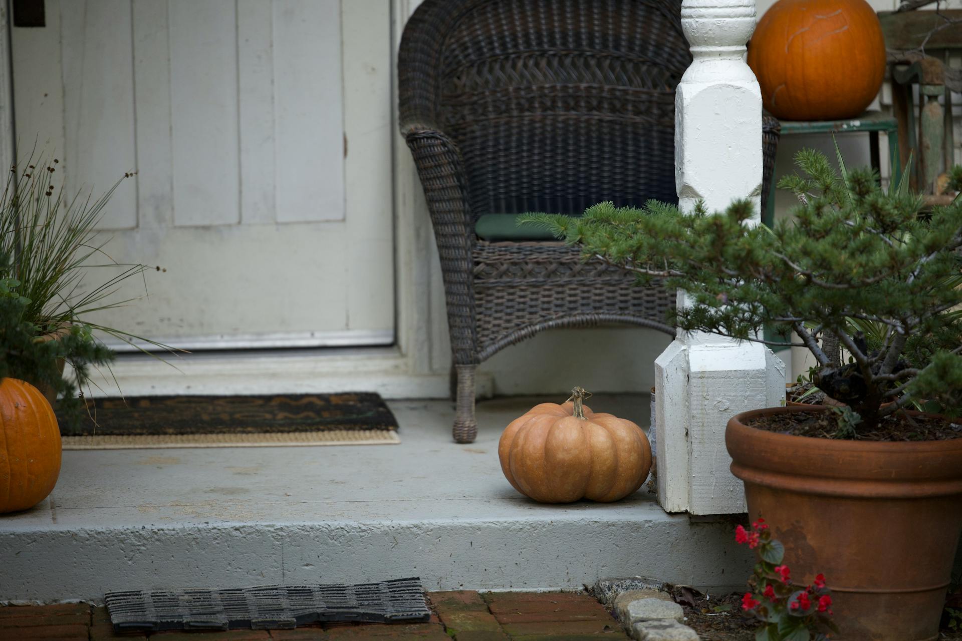 Gratitude, mesquite, and a perfect pumpkin spice muffin