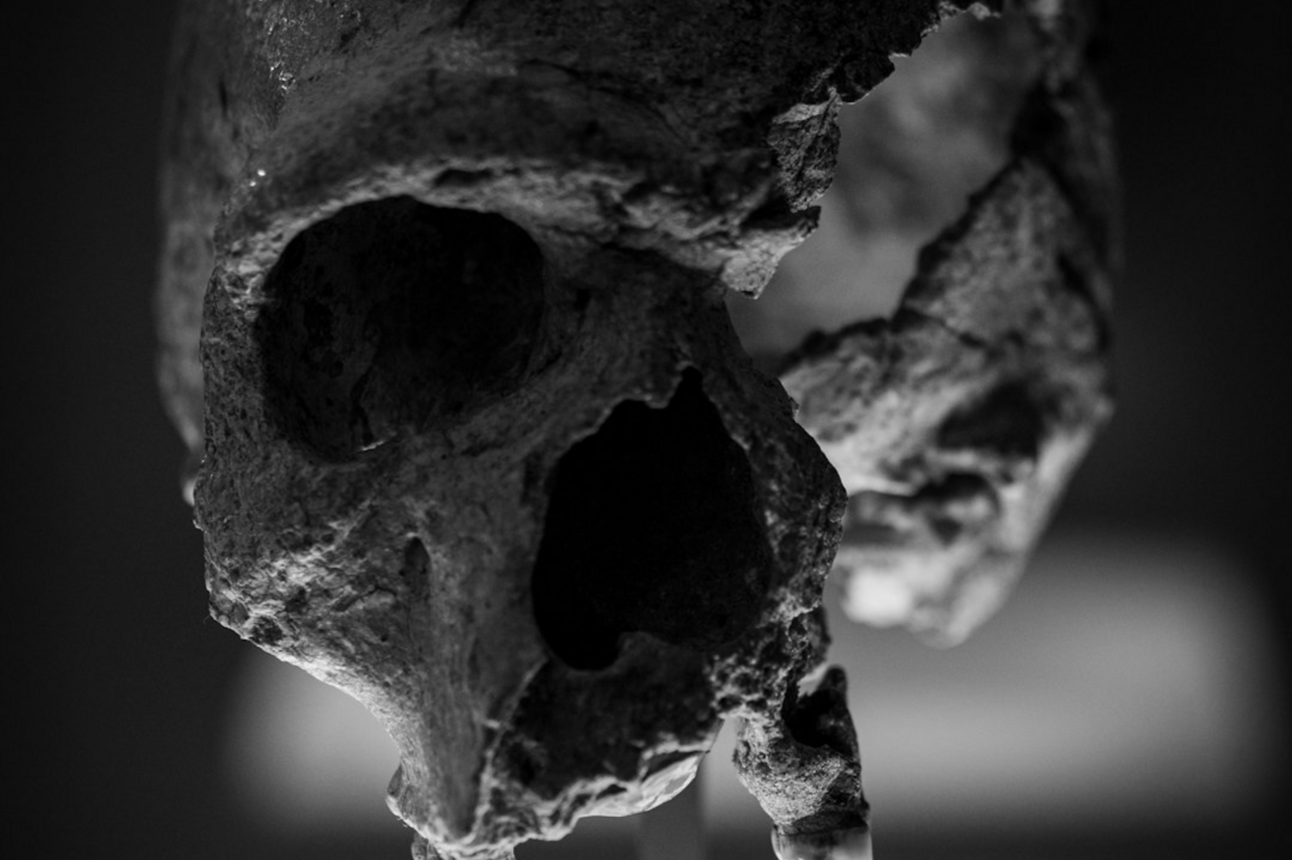 Dead Internet Theory